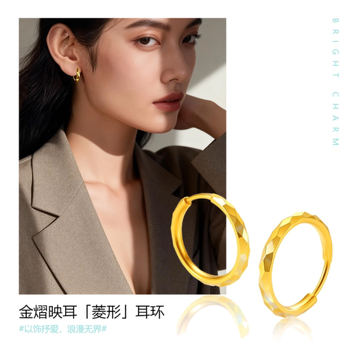 SMGI/饰品轻奢时尚设计感耳坠女