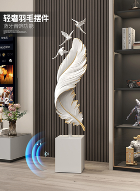 斯堪的纳维亚客厅电视柜无障碍豪华羽毛落地式装饰品大型入口办公