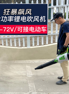 德国进口锂电工业级吹风机家用大功率鼓风机吹雪机吹树叶除尘器机