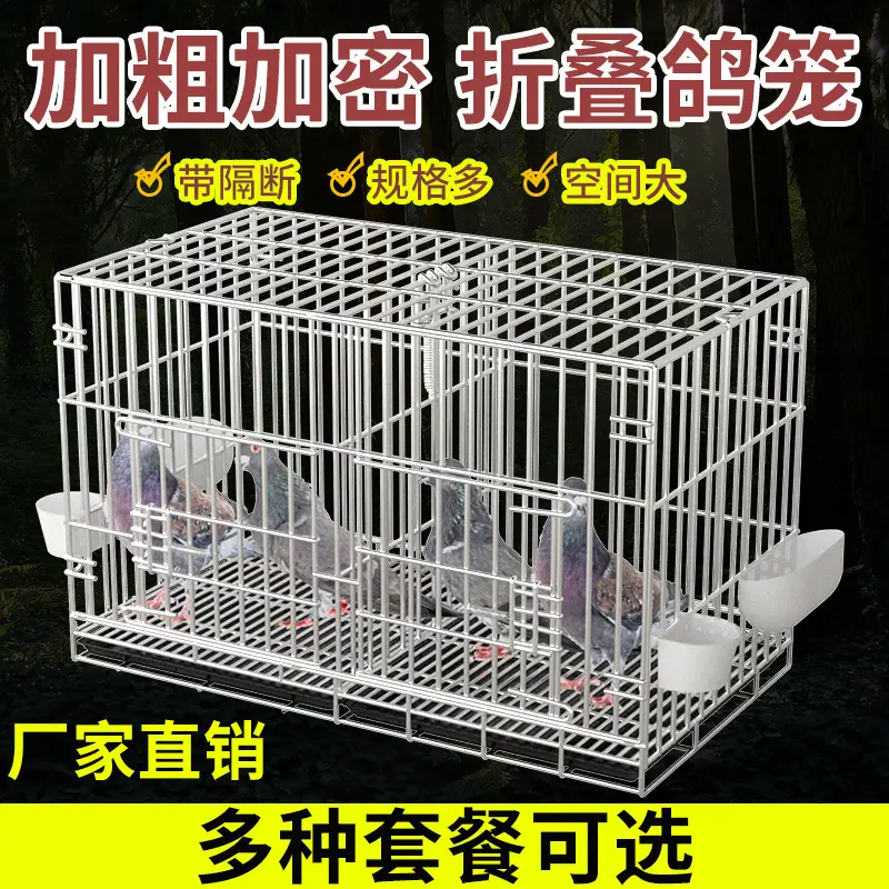 加粗鸽子笼包邮鸽子用品用具