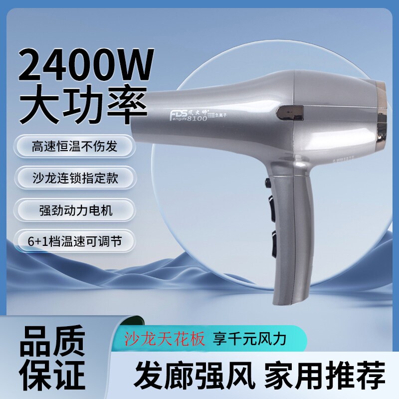 风大师8100诺德仕吹风机发型师负