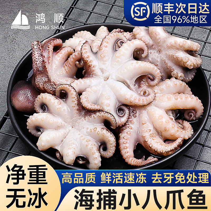 小八爪鱼鲜活生鲜火锅食材串串半成品小章鱼冷冻批发商用鱿鱼