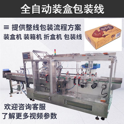 雪糕食品装盒机 甜筒冰淇淋装盒包装线 速冻冷食全自动盒装机设备