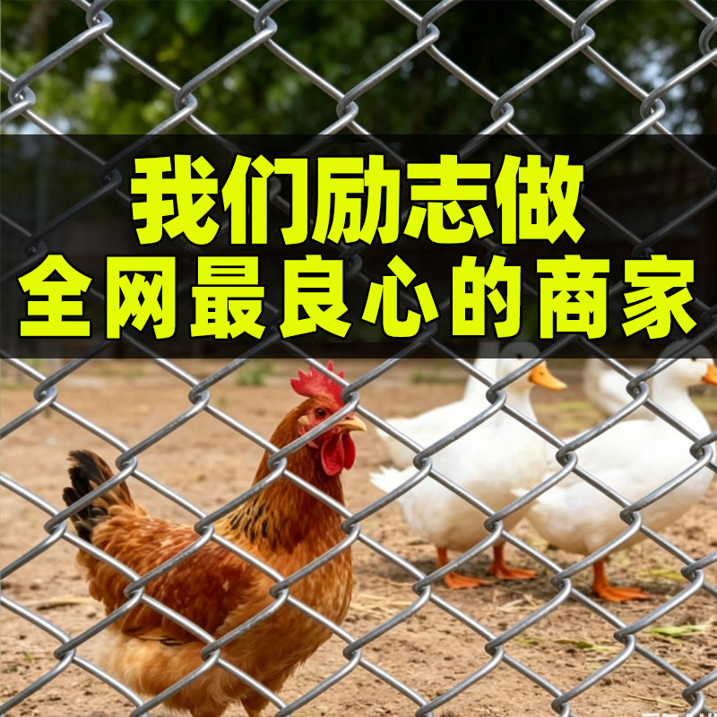 热镀锌防锈勾花养殖围栏网
