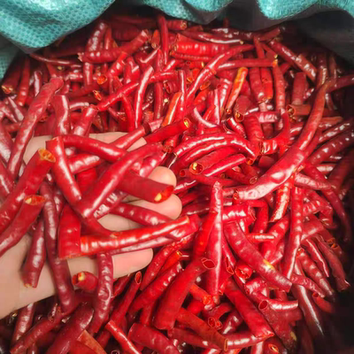 丘北干辣椒特香中辣人工剪去头尾