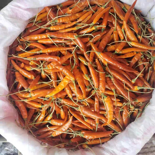 云南红河黄丹辣那刀辣500g干锅旱鸭专用辣椒特香特辣免费切段磨粉