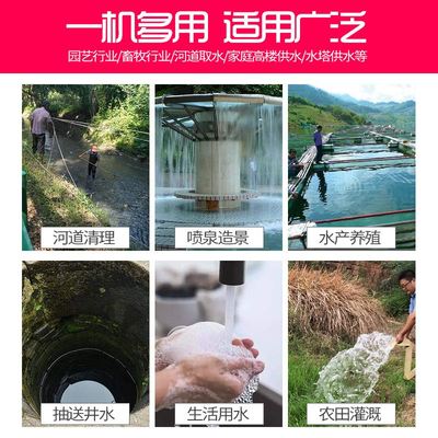 QD多级潜水泵高扬程工地水泵深井小老鼠家用220V抽水灌溉电泵