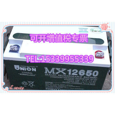 蓄电池MX12650 12V65AH免维护铅酸电瓶直流屏UPSEPS电源