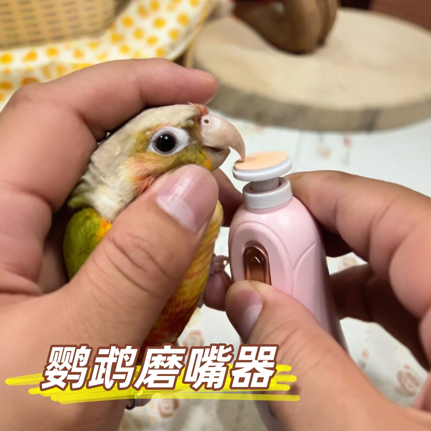 鹦鹉磨嘴器电动磨爪器小太阳牡丹虎皮和尚磨牙磨脚器宠物鸟磨甲器