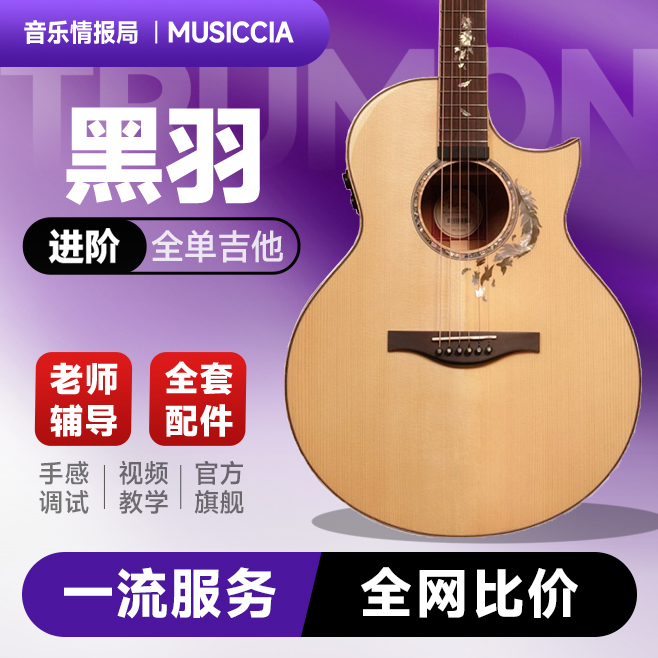 楚门黑羽950MAG-S7加振吉他