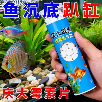 鱼儿复活片】维护鱼缸平衡净水质