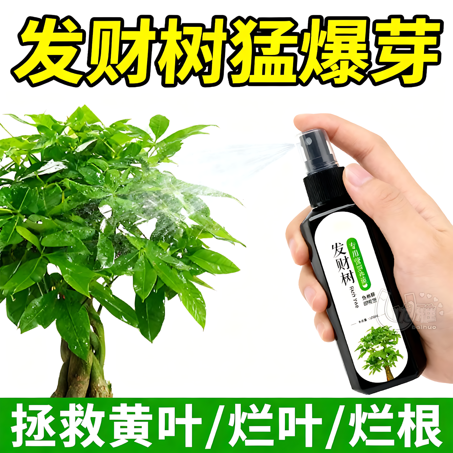 发财树营养液肥料专用肥室内盆栽植物活力素专治叶子发黄掉叶花肥,鲜花速递/花卉仿真/绿植园艺,家庭园艺肥料,淘宝优惠券,粉丝福利购,淘宝优惠卷