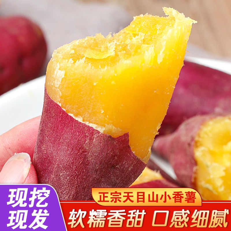 正宗天目小香薯3/5斤正宗板栗红薯黄心蜜薯新鲜自种小番薯地瓜