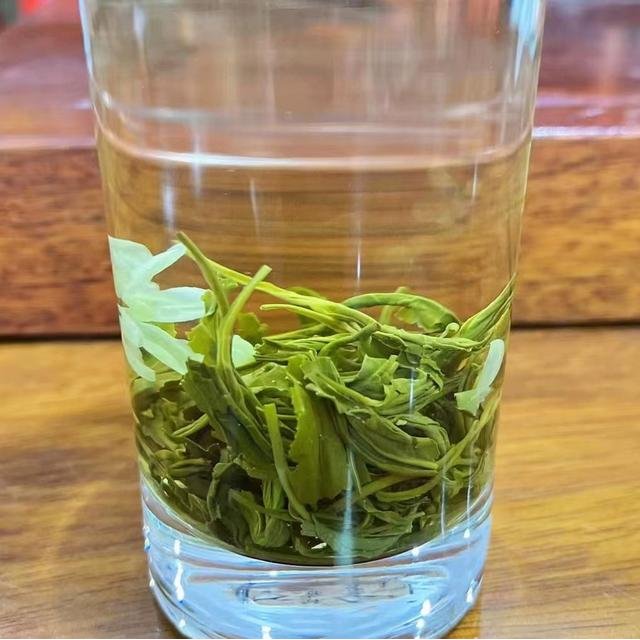 茉莉花茶2026新茶特级传统炒花毛峰毛尖 古茶人茉莉飘雪茶叶