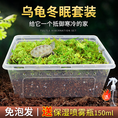 乌龟冬眠用品冬眠箱小饲养盒