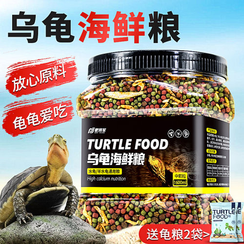 小乌龟巴西龟草龟食用龟粮