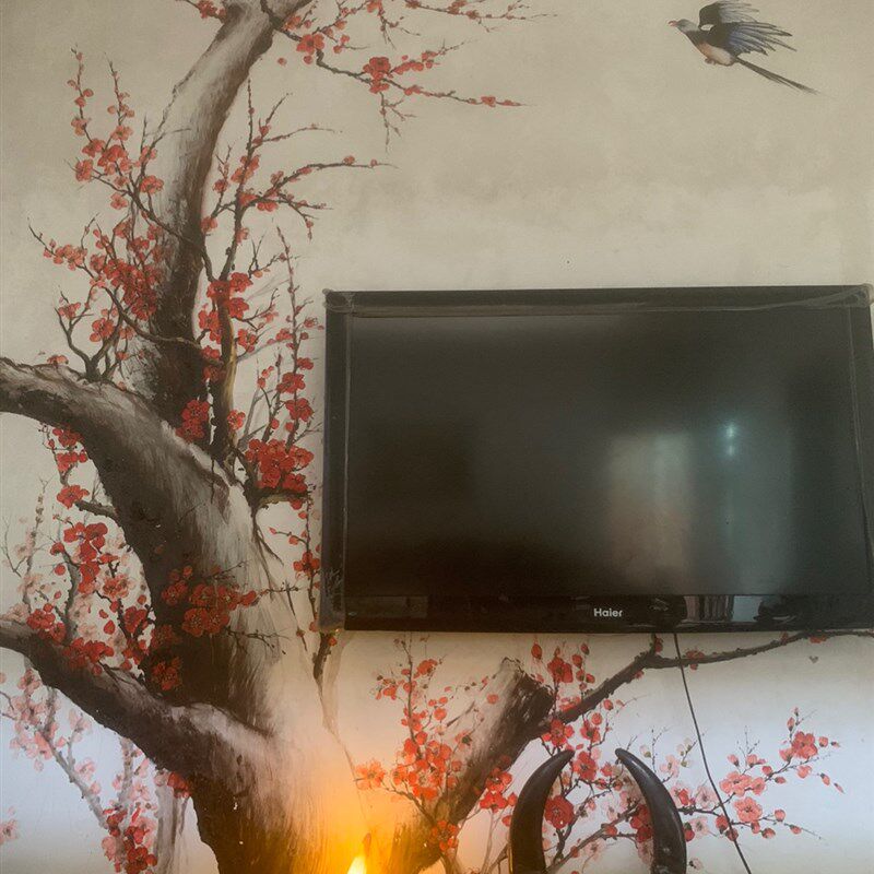 牛角摆件小夜灯护眼灯实木led灯圆形灯座白光暖光usb插电台灯包邮