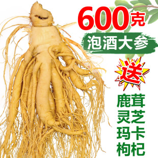 长白山整枝鲜人参保鲜参煲汤泡酒专用人参滋补养生正宗东北土特产