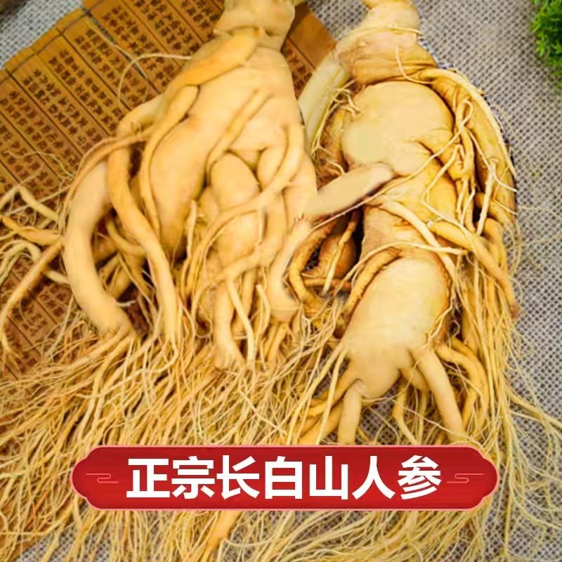 正宗长白山人参送礼煲汤泡酒材料新鲜人参东北特产高品质特大人参