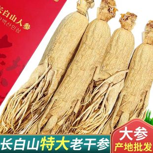 长白山干人参生晒参泡酒煲汤滋补品当季干货东北人参礼盒正宗白参