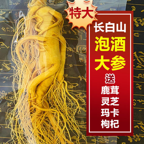长白山正宗鲜人参煲汤泡酒特大参