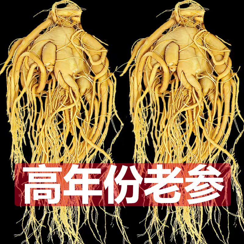 长白山保鲜整枝人参煲汤泡酒鲜参