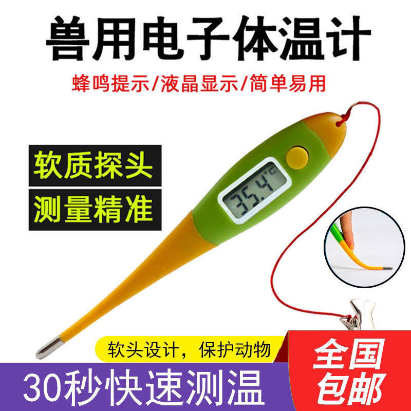 兽用电子体温计温度计养殖猪牛羊用肛门体温计肛温计动物用体温表