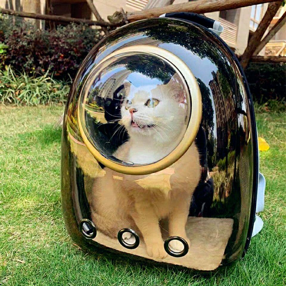 猫包外出双肩包太空舱宠