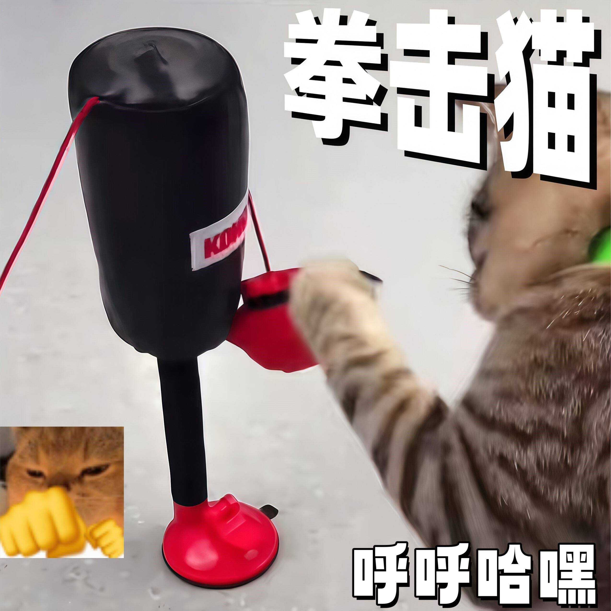 猫咪拳击手套趣味逗猫玩具自嗨