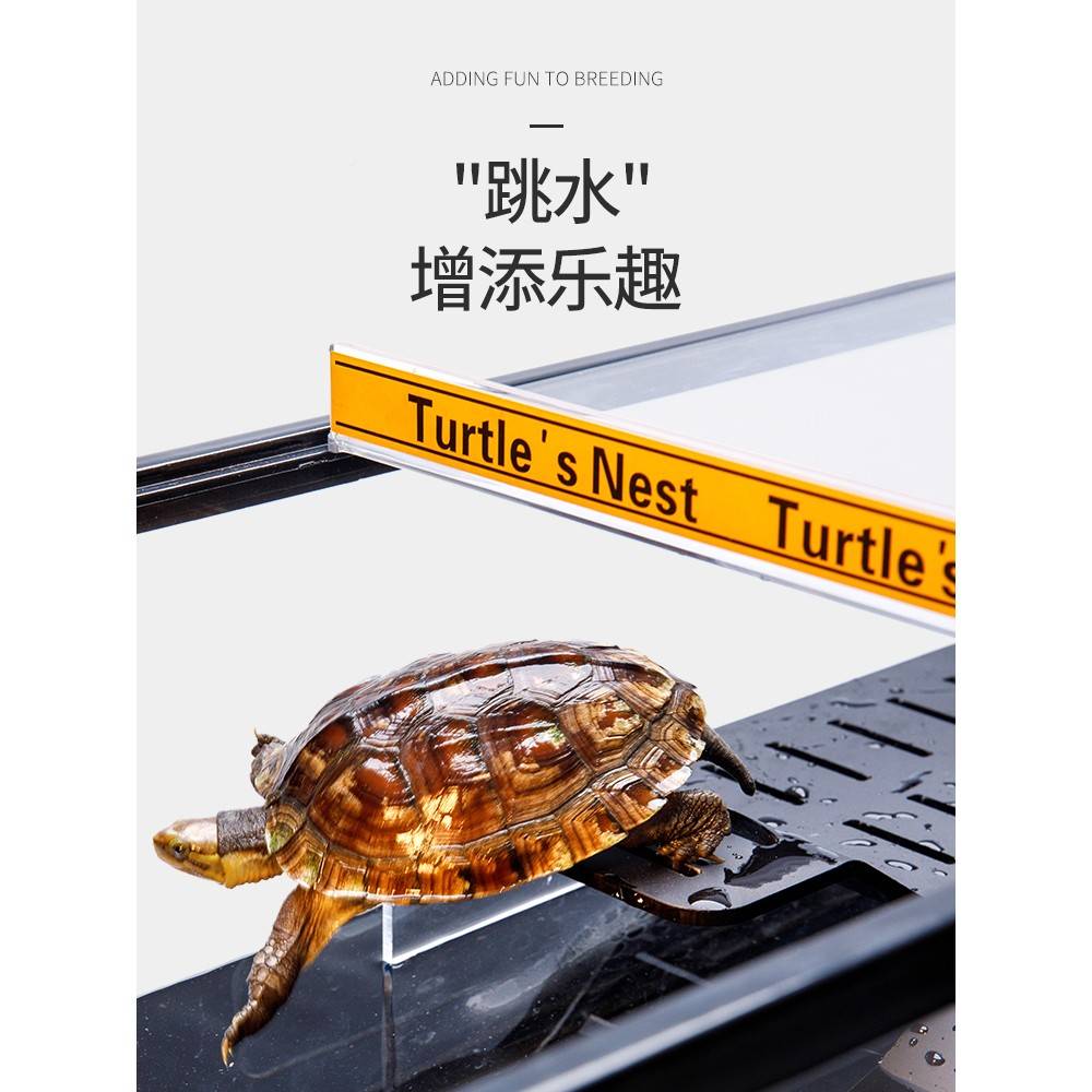 克白龟大型用家缸养带力晒台亚底玻乌部排水19656璃盖生超态鱼龟