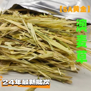 澳麦黄金燕麦草手挑版5A级一番进口兔子豚鼠龙猫干草500g绿澳麦