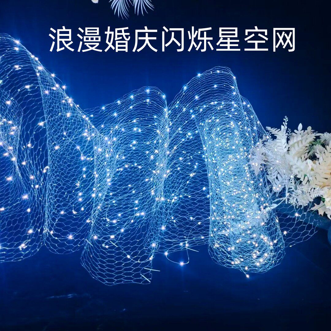 婚庆百变星空闪烁渔网灯串