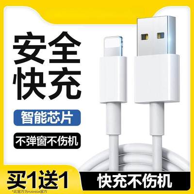 适用苹果iPhone11promax快充14数据线12充电线13手机7p车载PD20W加长8plus短usb器iPad平板2米XR冲X/6/6s