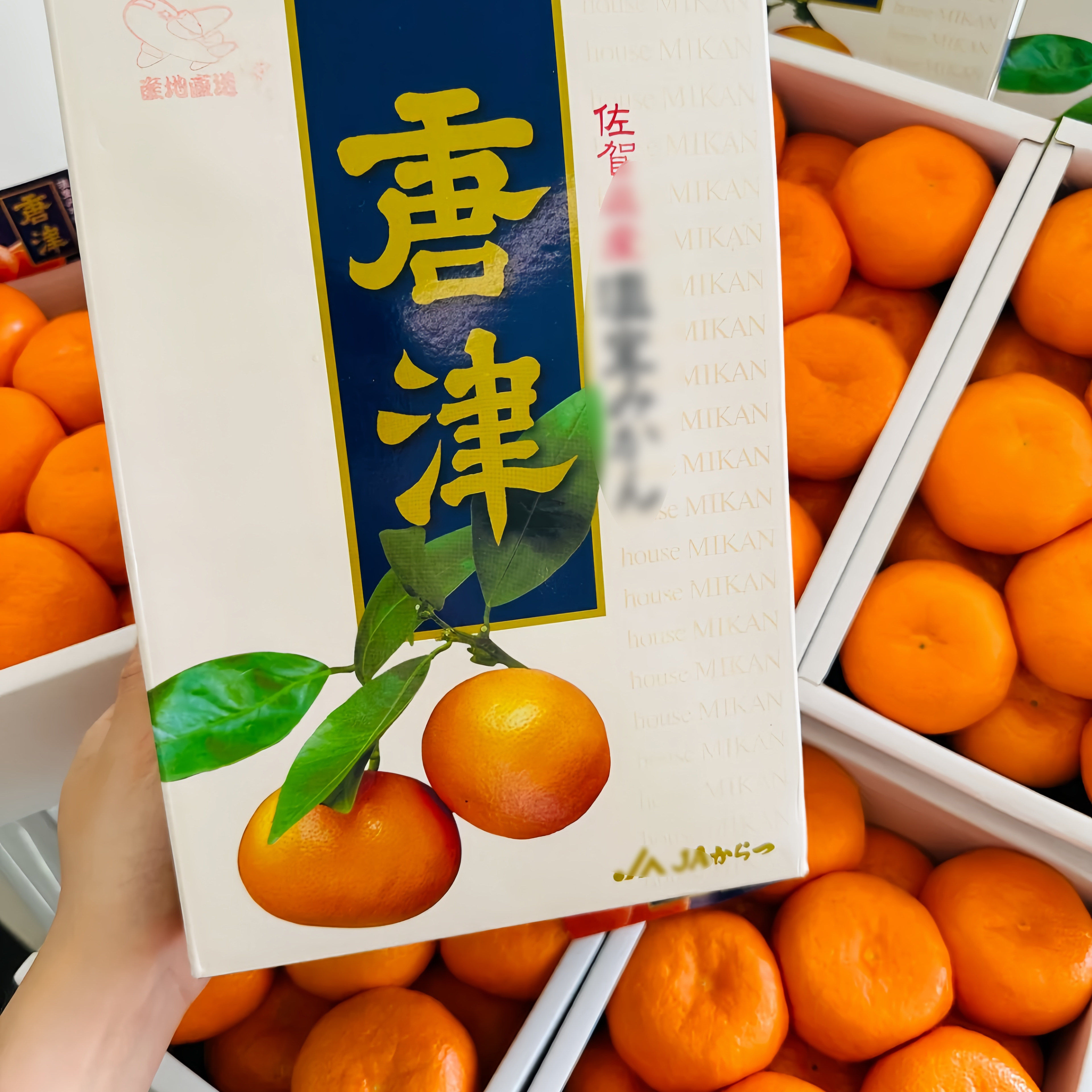 现货秒发唐津蜜橘皮薄爆汁口感新鲜唐津蜜柑礼盒顺丰空运