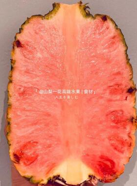 粉红色菠萝1个大logo白冰同款凤梨哥斯达加黎品种甜多汁礼盒顺丰