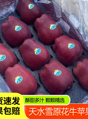 花牛苹果正宗甘肃天水特级蛇皮果宝宝婴儿辅食粉面当季顺丰