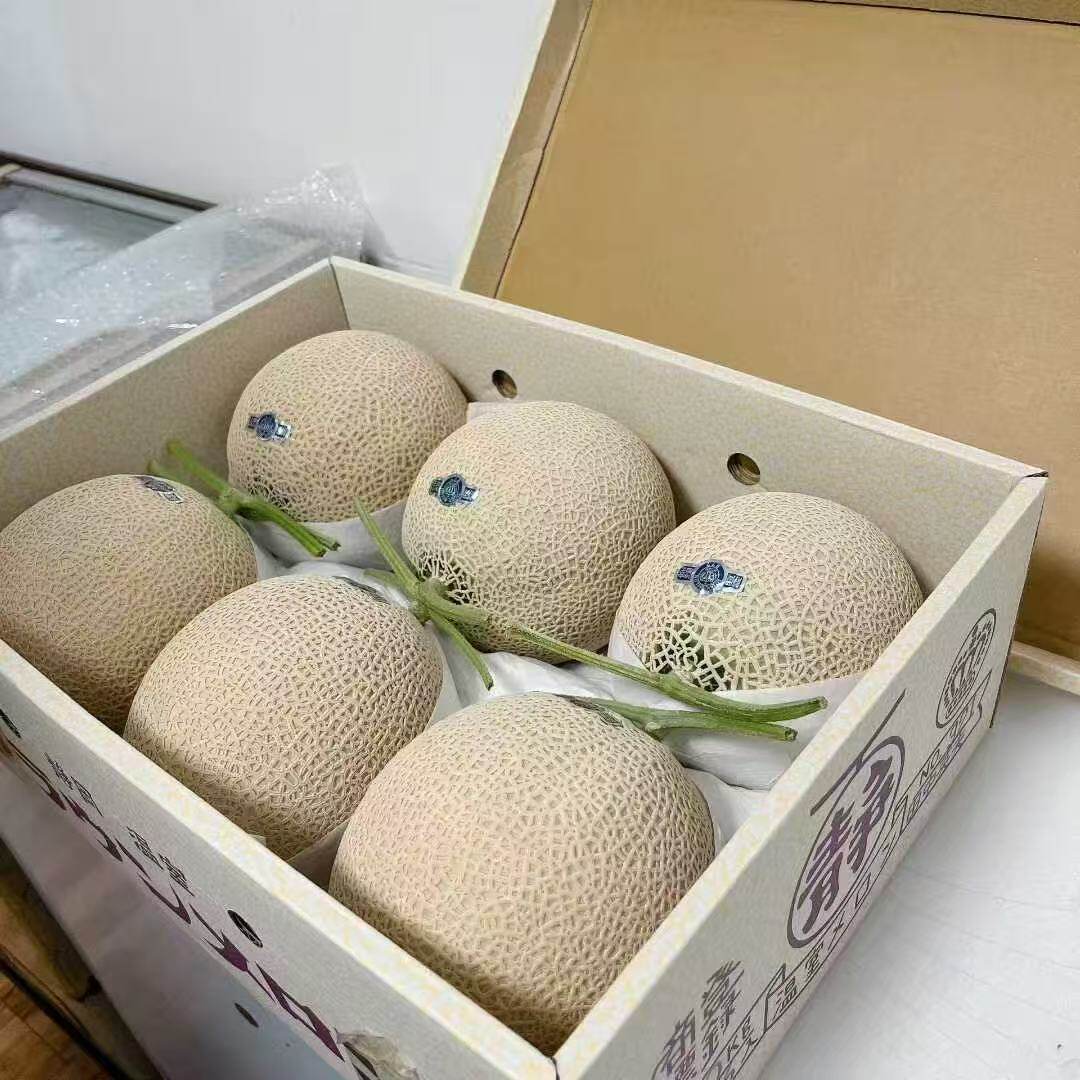 日本同款静冈哈密瓜白冰网红现货新鲜水果整箱送礼非进口哈密瓜