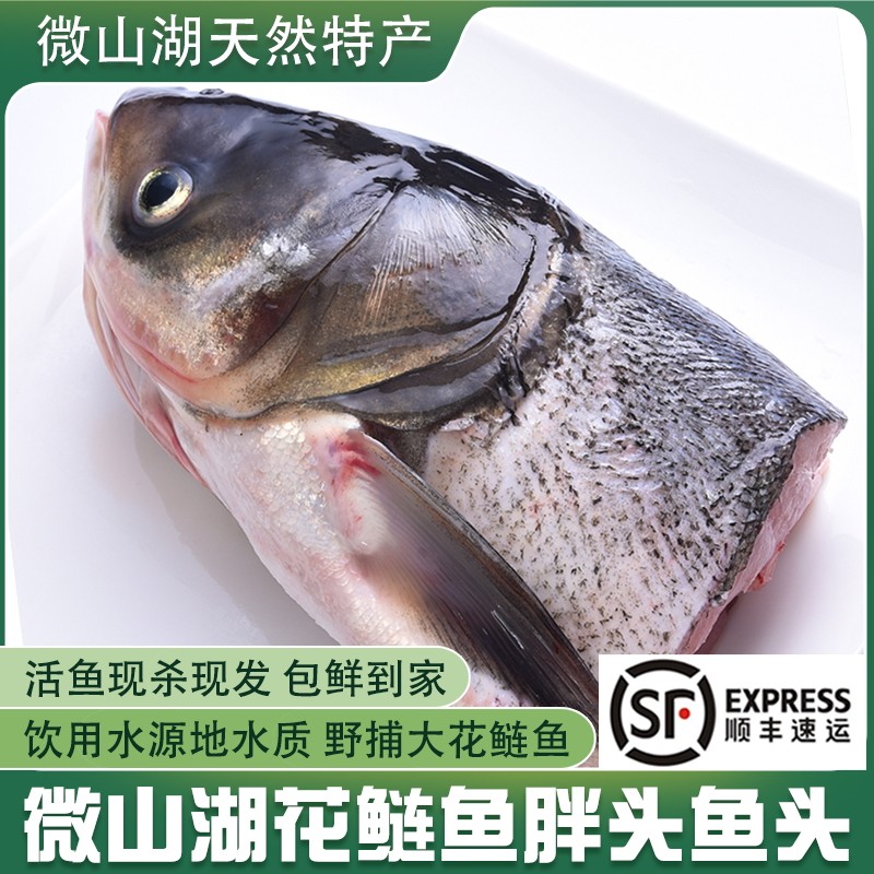 微山湖生态渔捕花鲢鱼头新鲜现杀胖头鱼头大头鱼剁椒鱼头鱼头煲汤,水产肉类/新鲜蔬果/熟食,淡水鱼类,淘宝优惠券,粉丝福利购,淘宝优惠卷