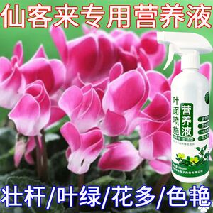 花草营养液通用【仙客来】专用营养液液体肥催花防黄叶植物活力素