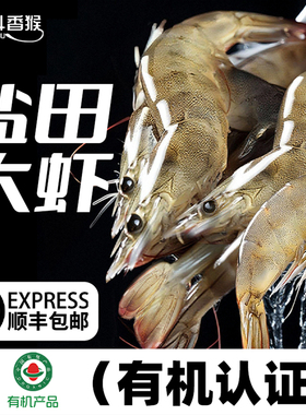 渤海湾盐田有机大虾活冻锁鲜特大号速冻对虾海虾青白虾孕妇气冻虾