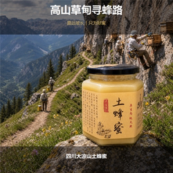 大凉山土蜂蜜深山百花一年一取农家自产传统工艺山里直发纯正原味