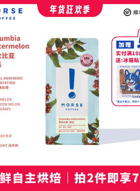 MORSE莫思咖啡  哥伦比亚西瓜浓郁果香单品手冲冷萃咖啡豆100g