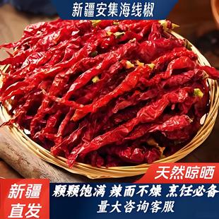 新疆安集海线椒辣皮子干辣椒500g新疆特产大盘鸡辣皮子辣椒