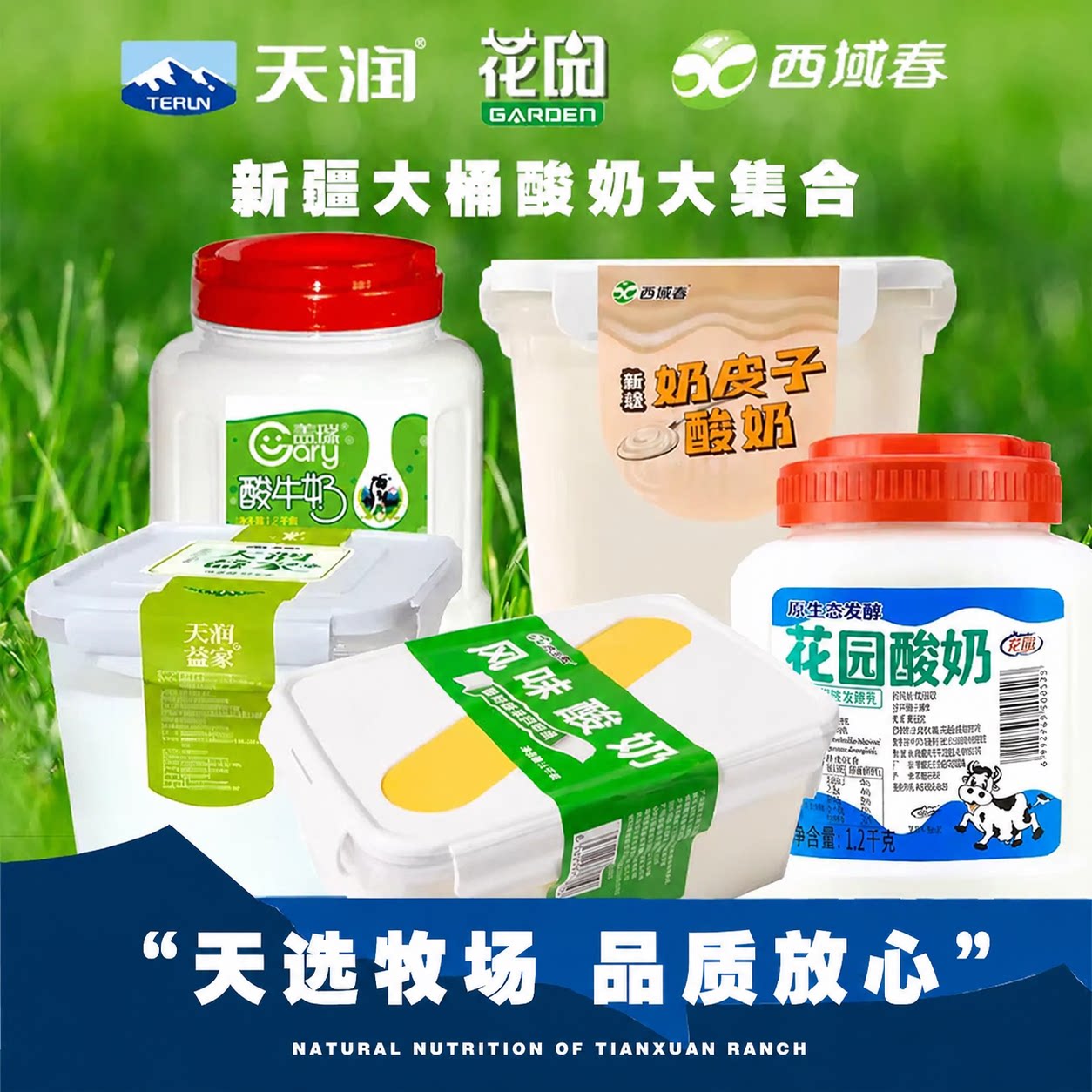 新疆西域春酸奶饭盒奶皮子冰淇淋原味大方桶装低温水果捞酸牛奶图片