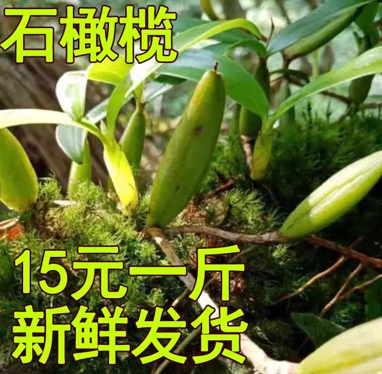 广西石橄榄新鲜双叶单叶中小果500g石仙桃果上叶煲汤炖汤生材料