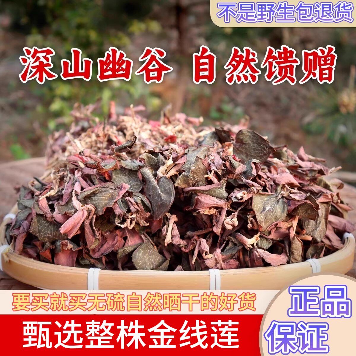 野货金线莲整株干品50g林下原生态生长养肝护益肝熬夜去火养生茶