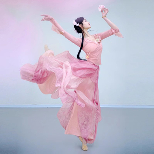 表演服套装 身韵服双层渐变宽松裙裤 古典舞蹈服飘逸纱衣修身 新款