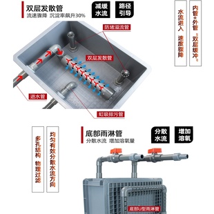 DIY鱼缸周转箱外置鱼缸粪便鱼马桶带沉淀仓上滤过滤系统单层
