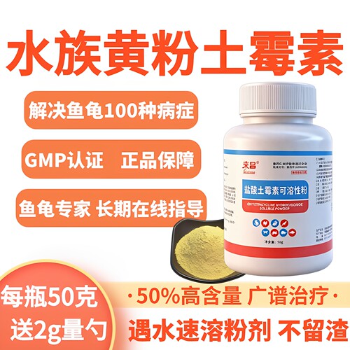 专家在线指导·鱼龟疾病治疗