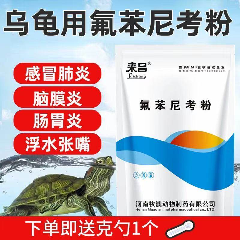 乌龟用药氟苯尼考粉脑膜炎肠胃炎细菌性感冒巴西龟草龟水陆龟通用